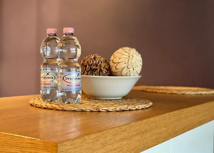 شقة K22 Centrum Warszawy وارسو